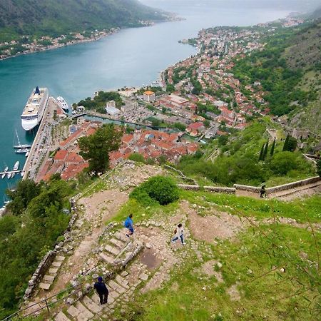 Novi Svet Daire Kotor Dış mekan fotoğraf